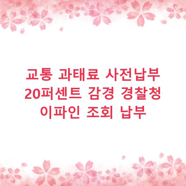 교통 과태료 사전납부 20퍼센트 감경 경찰청 이파인 조회 납부