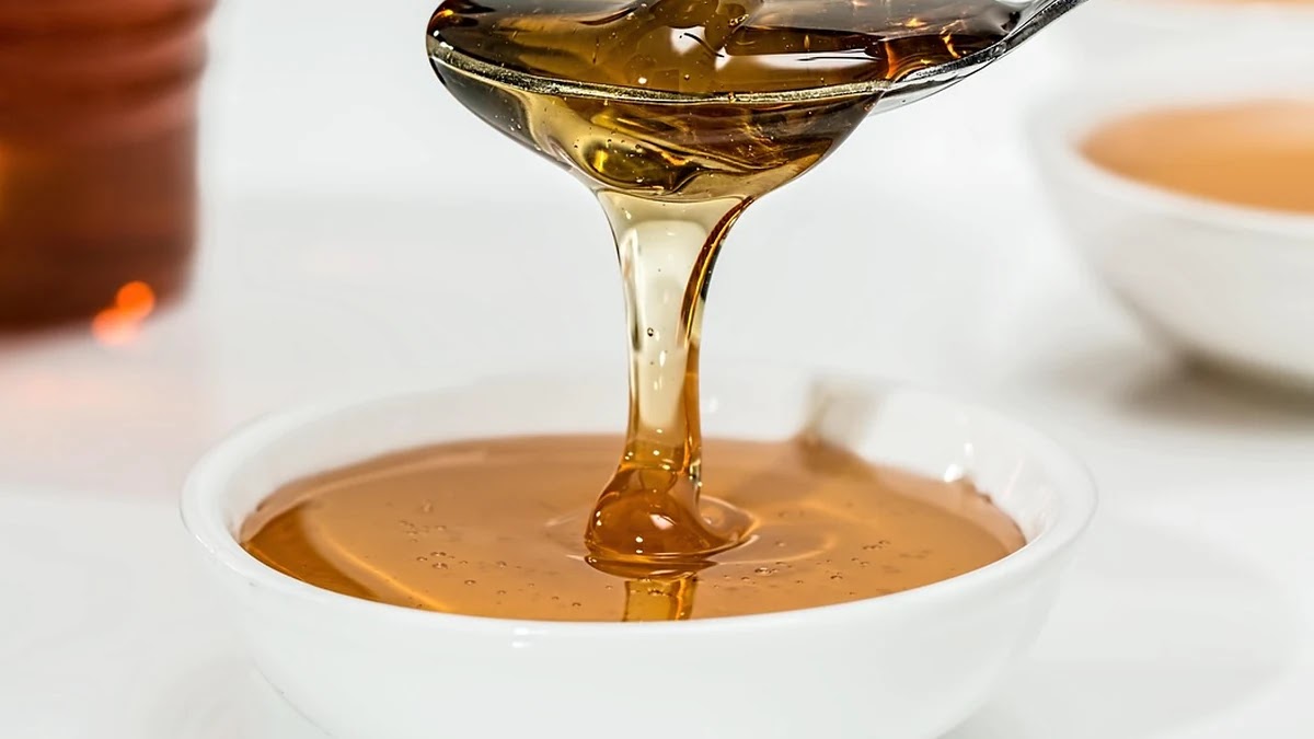 혈당 조절에 영향을 미치는 신체 구조별 역할과 관리 방법