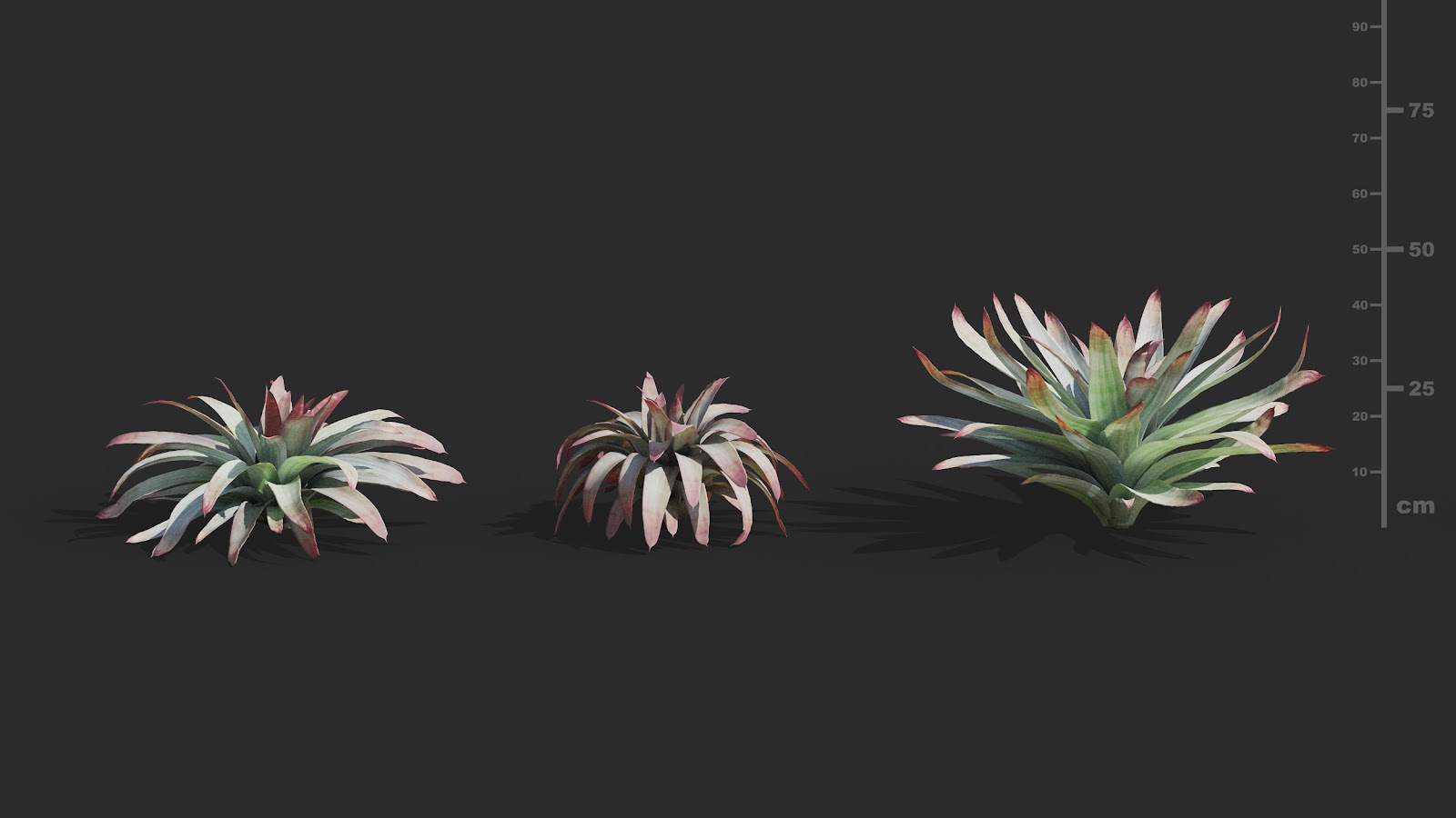 Maxtree - Plant Models Vol.72