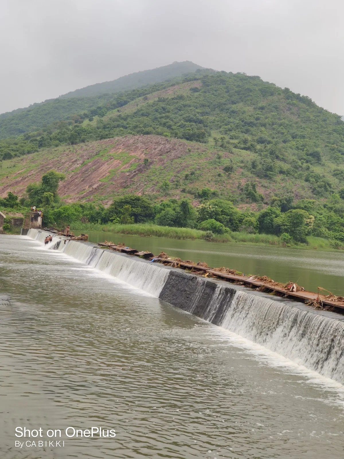 Saripalli