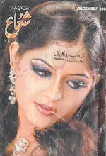 Shuaa Digest December 2006 Download PDF