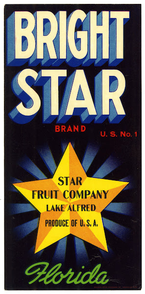 Bright Star Brand Fruit Label 1930 1950