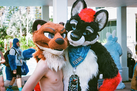 furdu-13.jpg