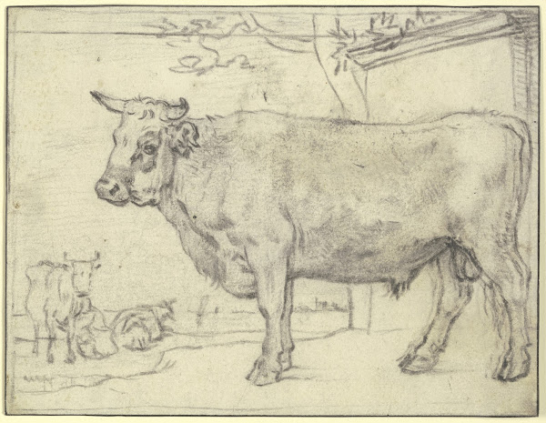 Stier nach links hinten zwei Kühe und eine Melkerin