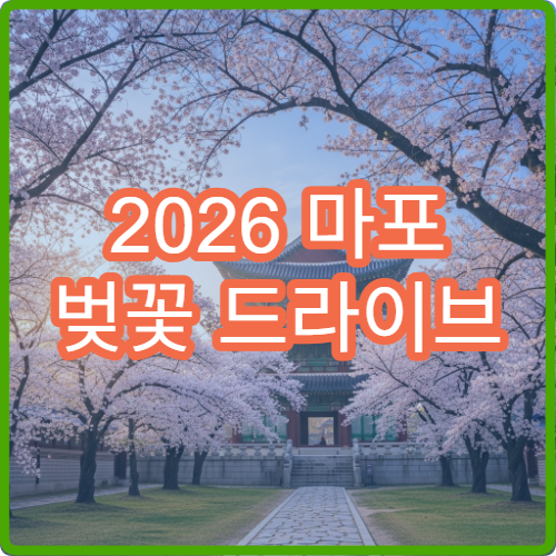 2026 마포 벚꽃 드라이브 여의도 한강변 초보 커플 완벽 루트