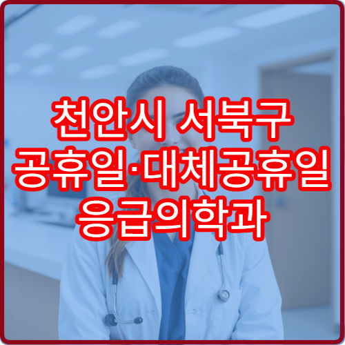 천안시 서북구 공휴일·대체공휴일 응급의학과 진료 병원 응급진료·야간진료 가능