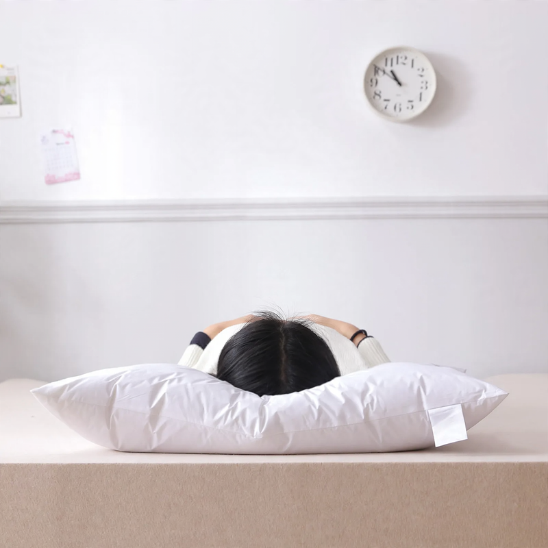 Down pillow with cotton cover, 48×74 cm