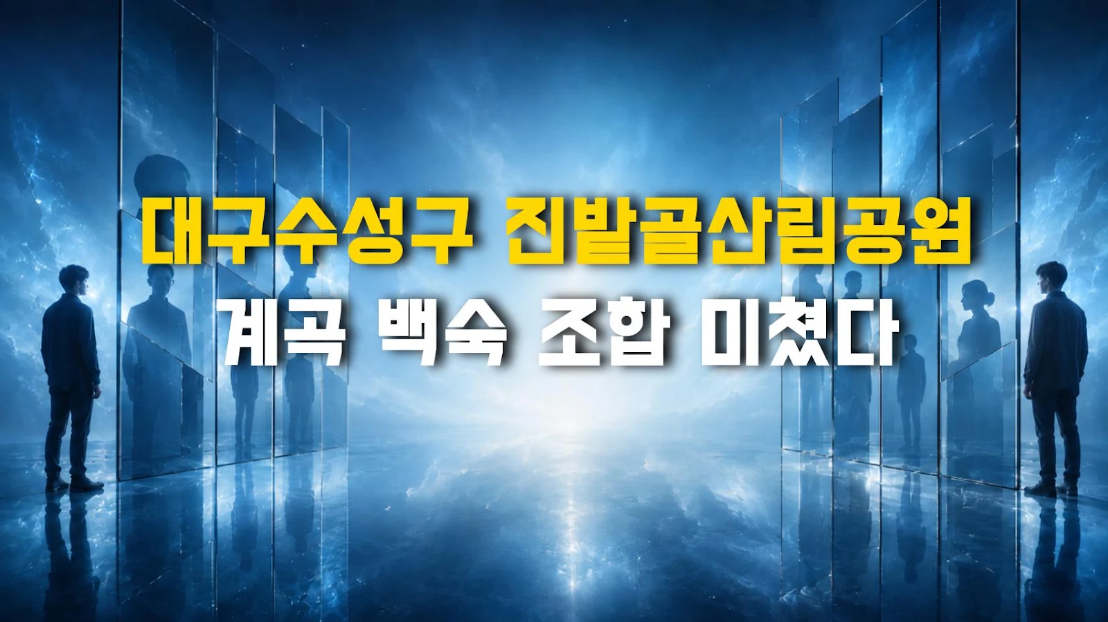 대구수성구 진밭골산림공원 계곡 백숙 조합 미쳤다