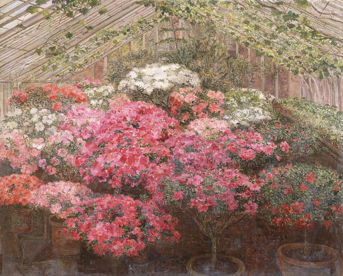 Greenhouse with Azaleas 1905