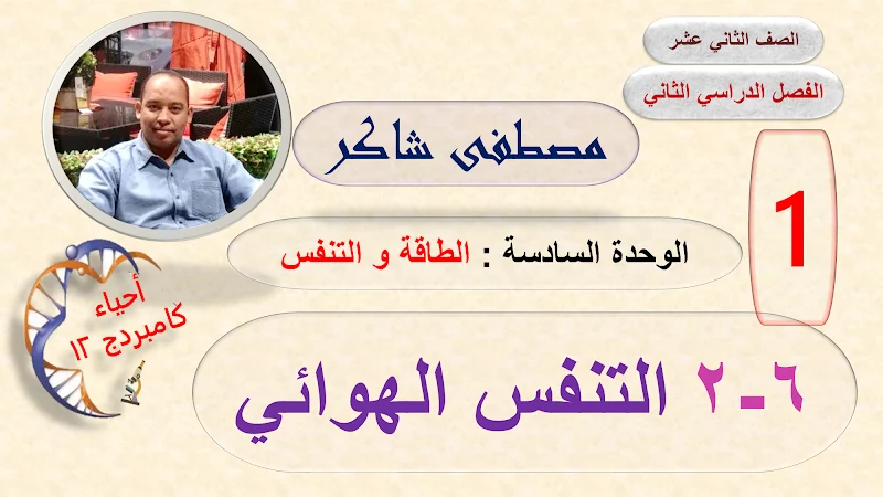 صورة الغلاف