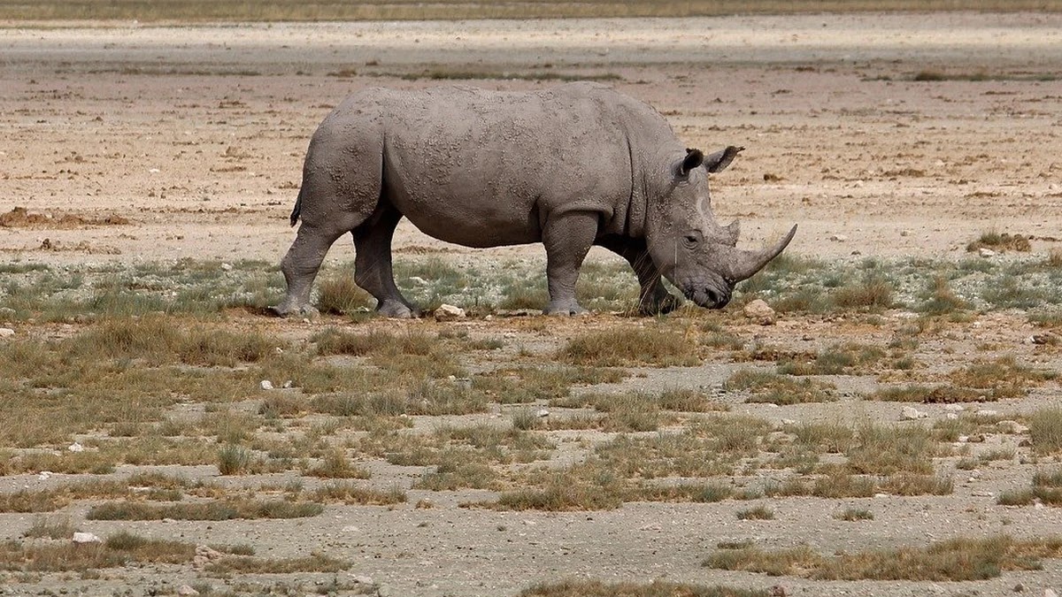 MBTI와 빅파이브 성격 이론 차이점과 심리 패턴 연관성