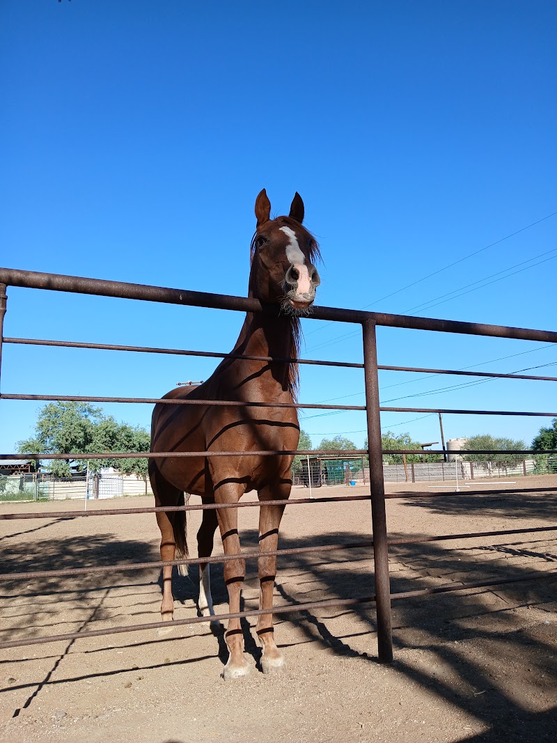 Hi! I’m Rose - the best riding teacher in town