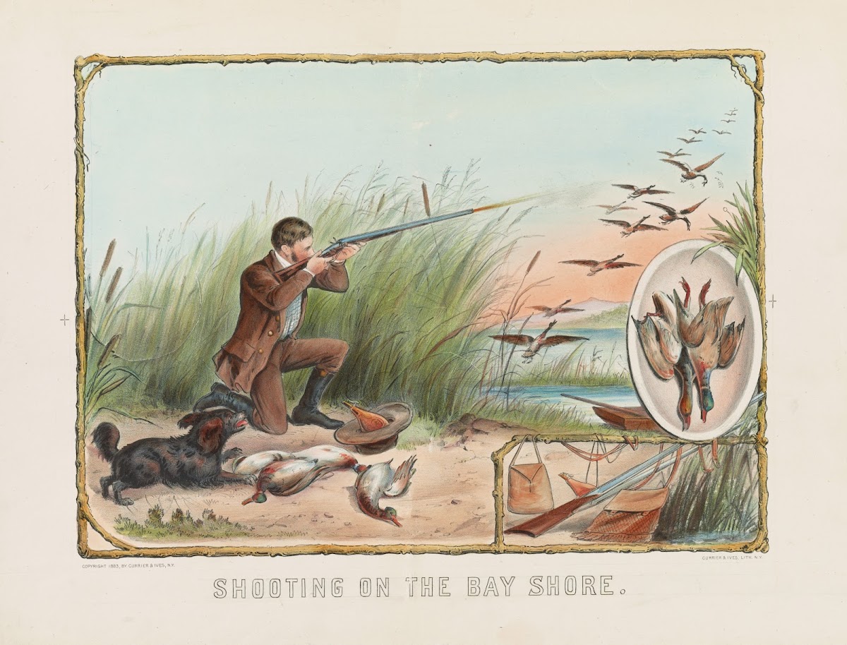 Shooting on the bay shore 1883