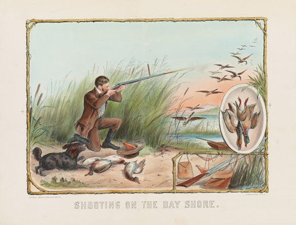 Shooting on the bay shore 1883