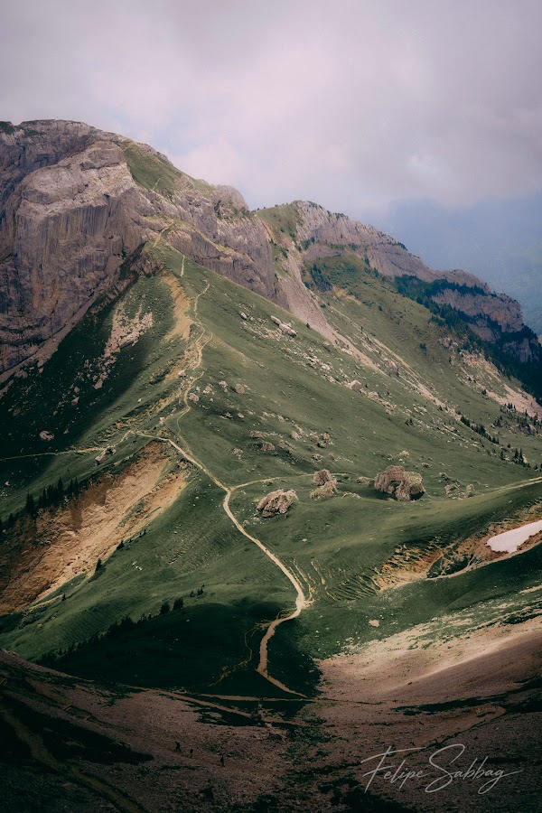 PILATUS