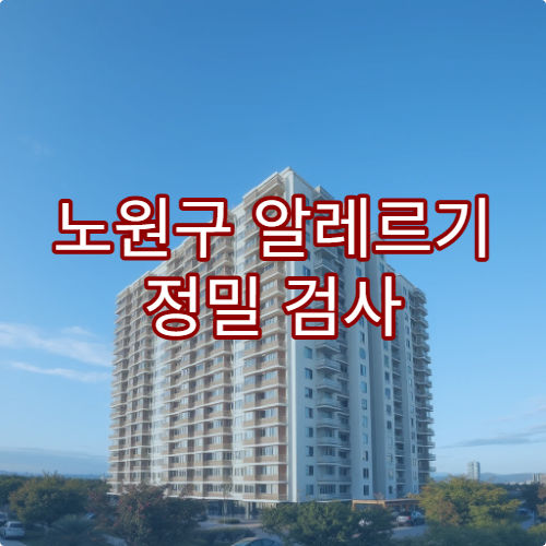 노원구 알레르기 정밀 검사 피부 반응 테스트 병원 추천