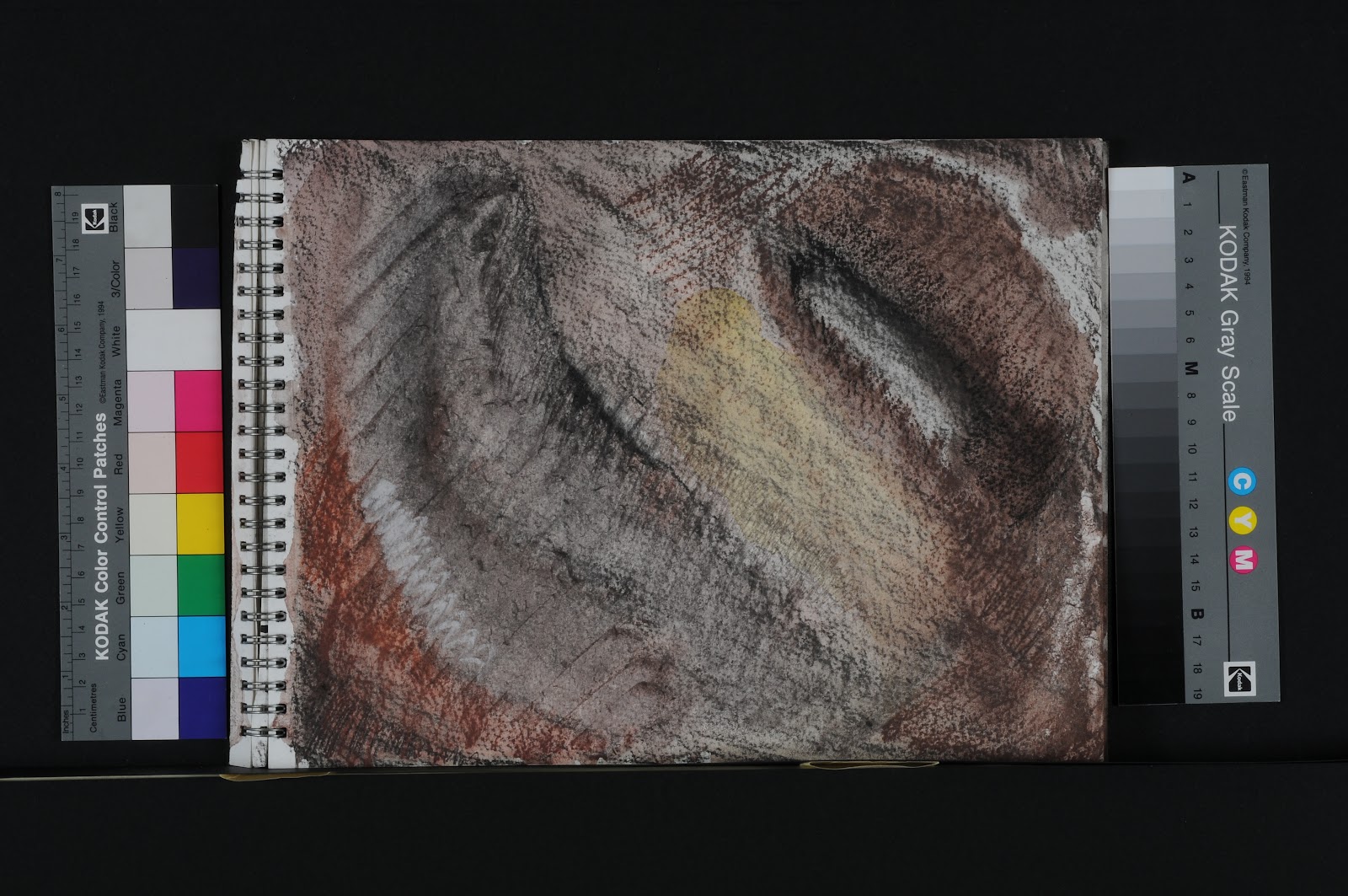 charcoal drawings