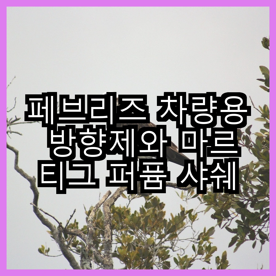 페브리즈 차량용 방향제와 마르티그 퍼퓸 샤쉐의 향기, 당신의 선택은? 썸네일