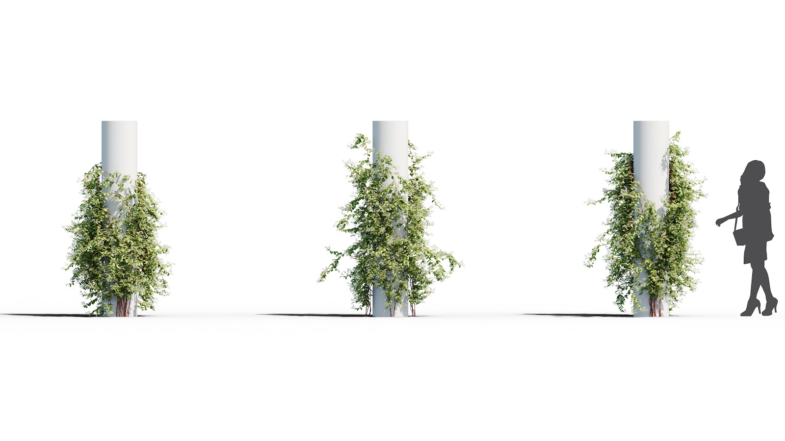Maxtree - Plant Models Vol.37