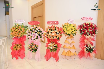 MCF_2831.jpg