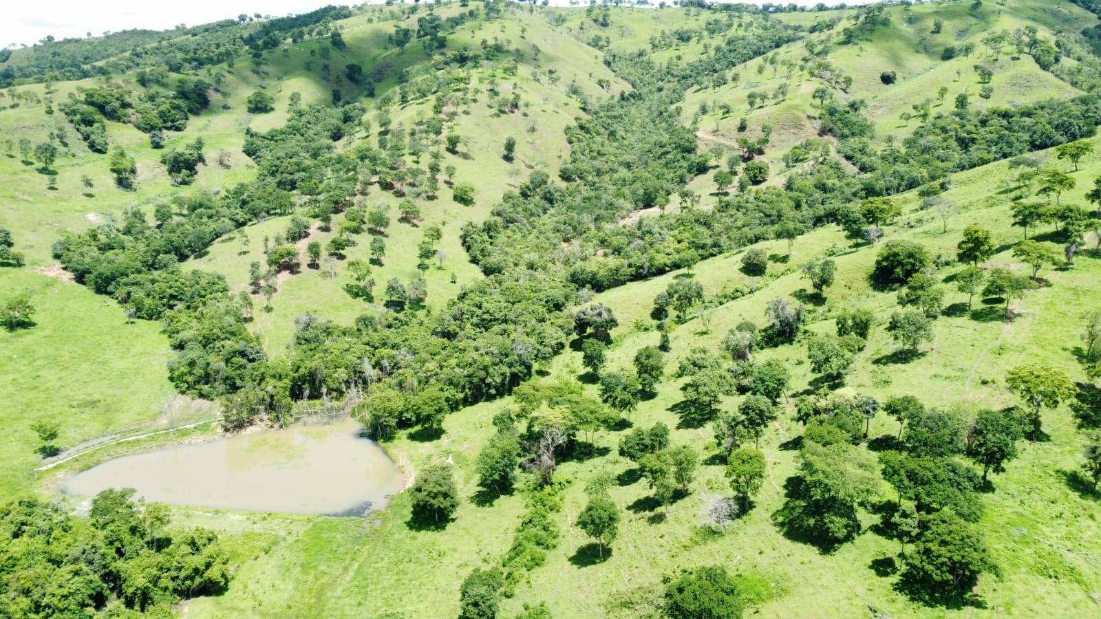Fazenda no Município Corumbaíba - GO 6