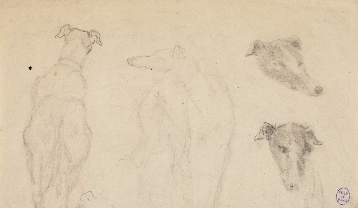 Deux esquisses de chiens et deux croquis de tête de chien
