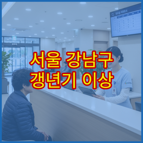서울 강남구 갱년기 이상 증상 여성 호르몬 상담 가능한 병원