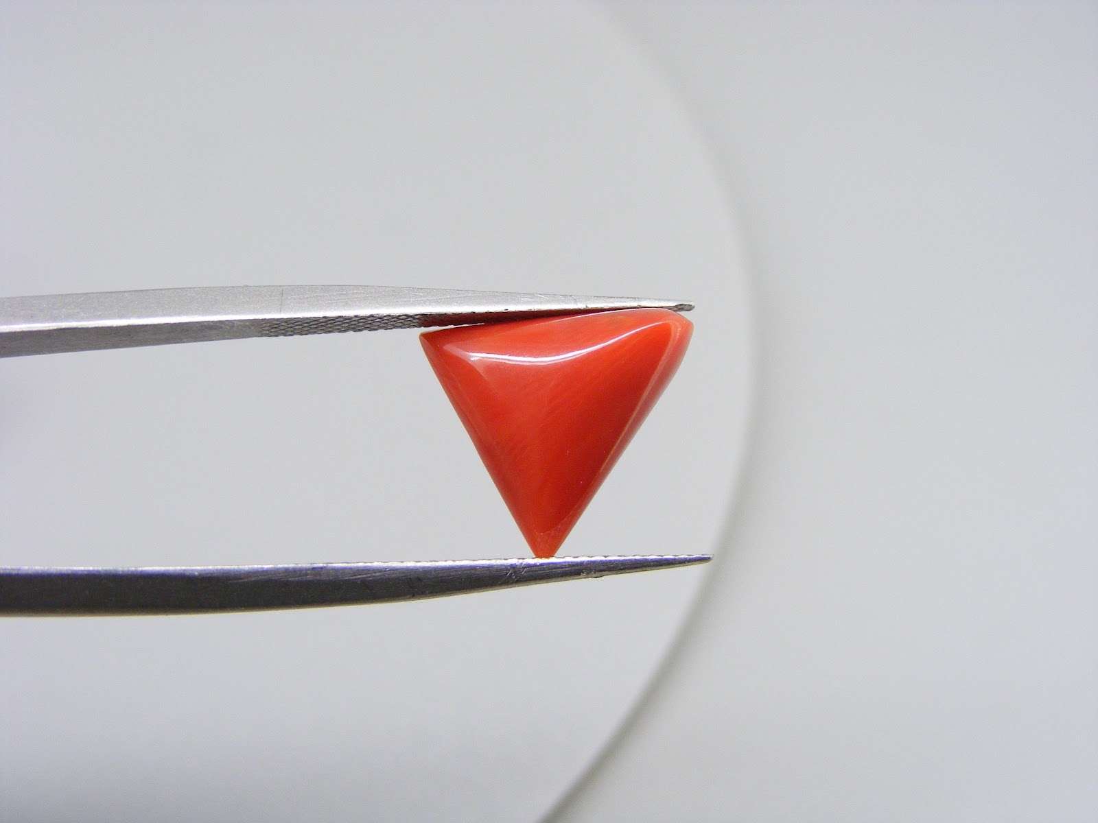 Natural Triangle Red Coral 4.26