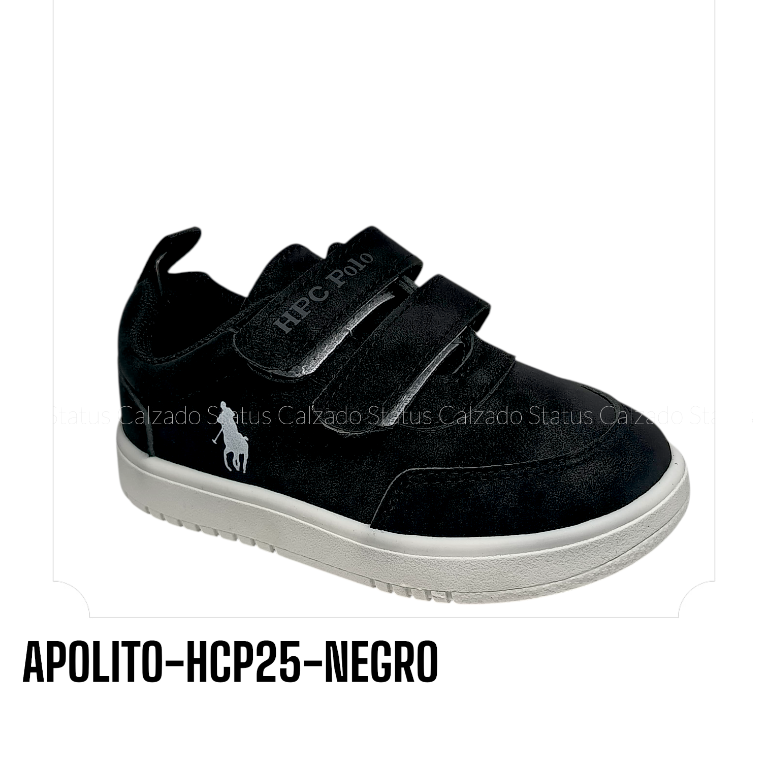 APOLITO-HCP25-NEGRO