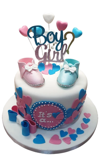 Gender Reveal Cake CB-NC536