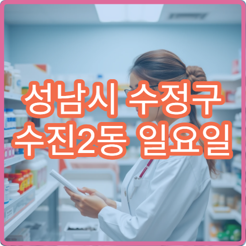 성남시 수정구 수진2동 일요일 당번약국 늦지 않게 찾는 법