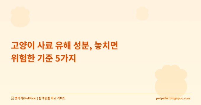 고양이 사료 유해 성분, 놓치면 위험한 기준 5가지