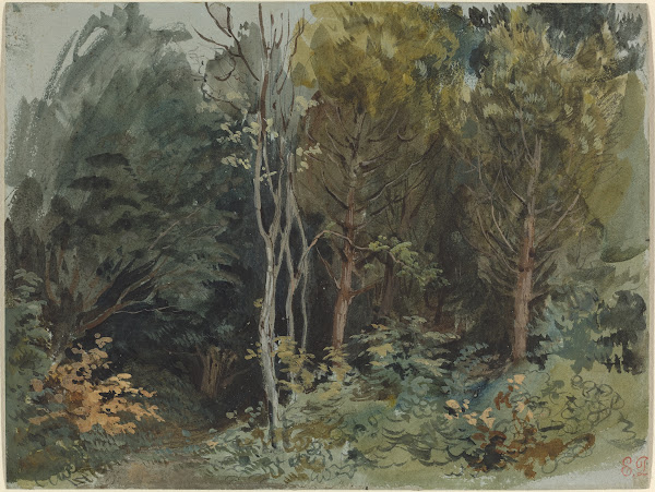 The Edge of a Wood at Nohant c 1842 1843