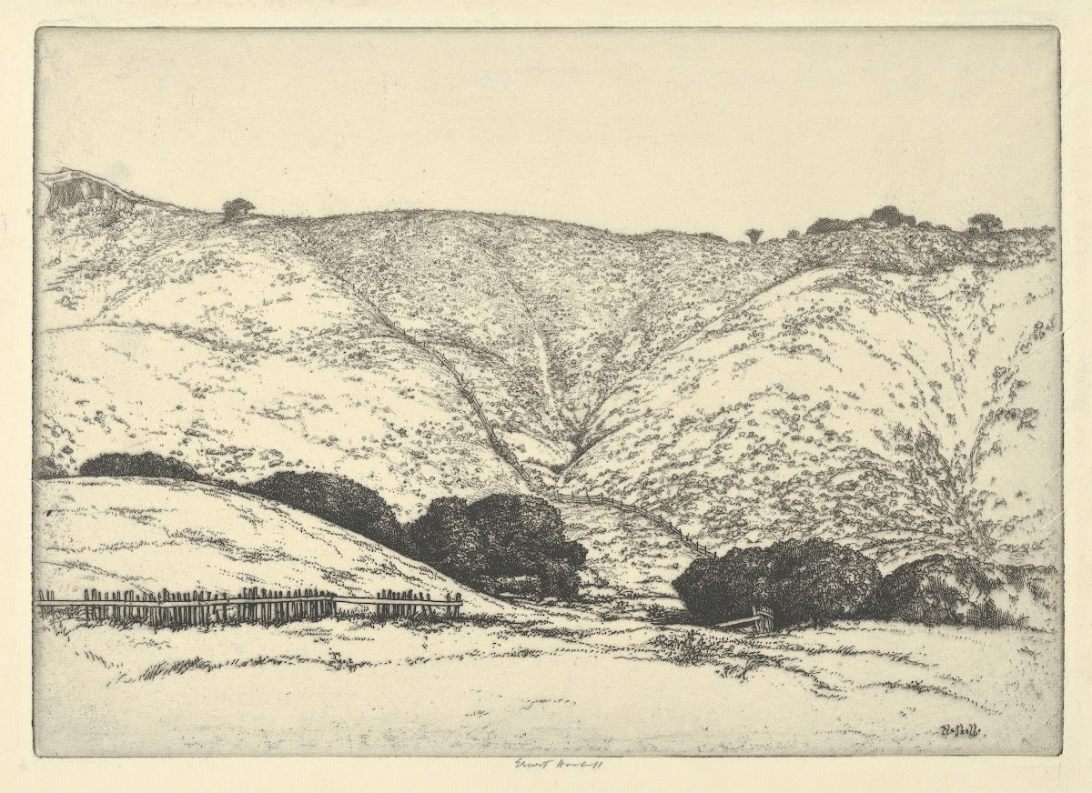 Redwood Fence 1900 1925