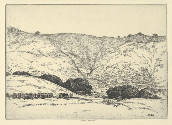 Redwood Fence 1900 1925