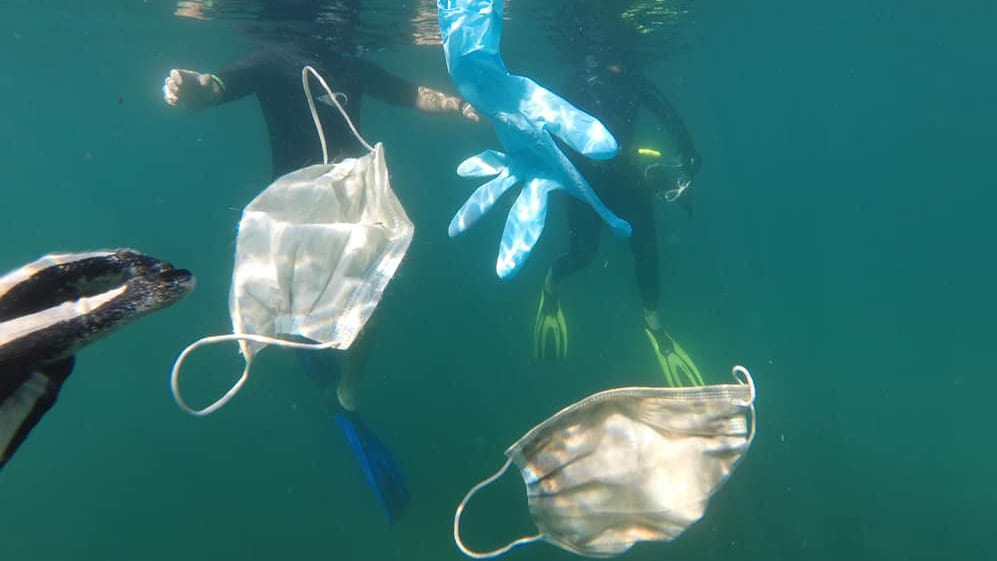 Masks during Covid-19 have polluted the ocean. Earth Day, World Environment Day, Climate Education for children. CarbonEthics Indonesia