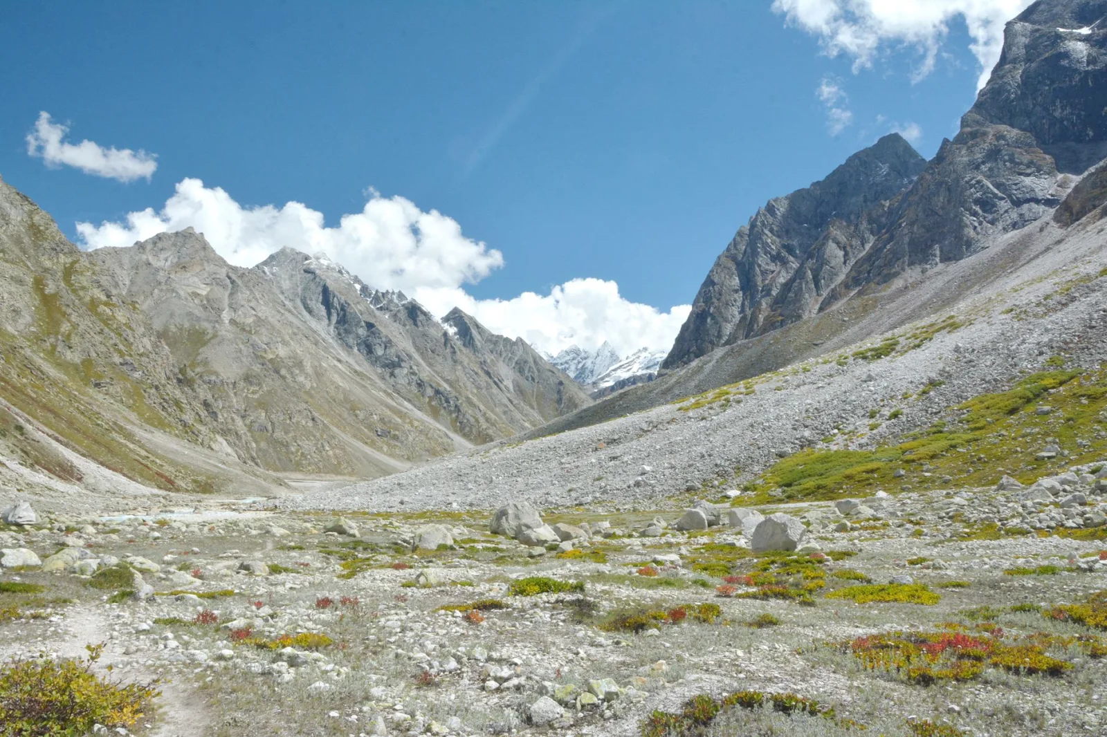 Valley of Flowers National Park