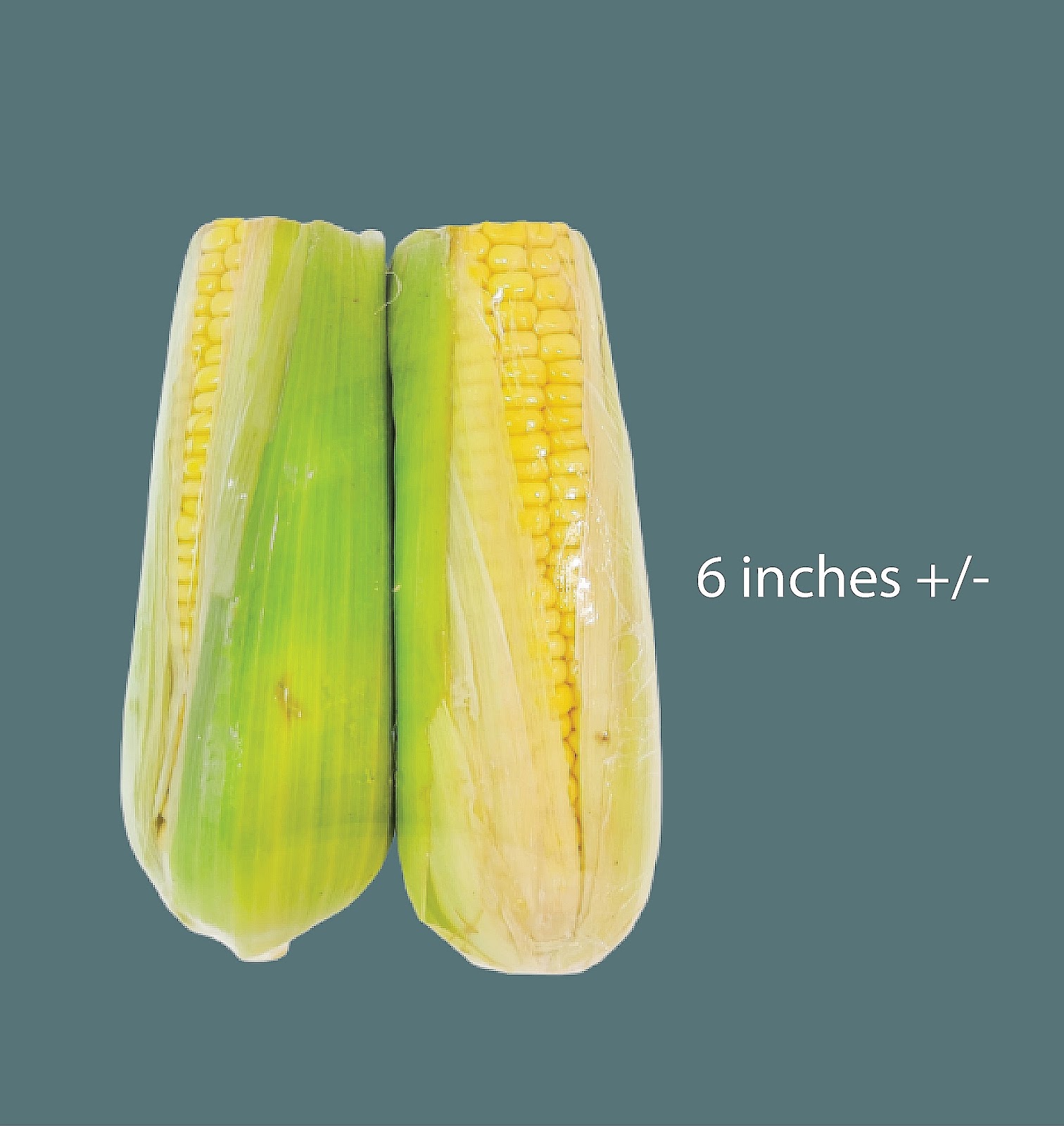 Fresh Corn A