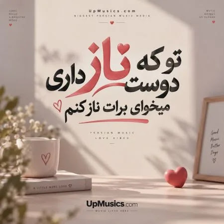 دانلود آهنگ تو که ناز دوست داری میخوای برات ناز کنم + ریمیکس