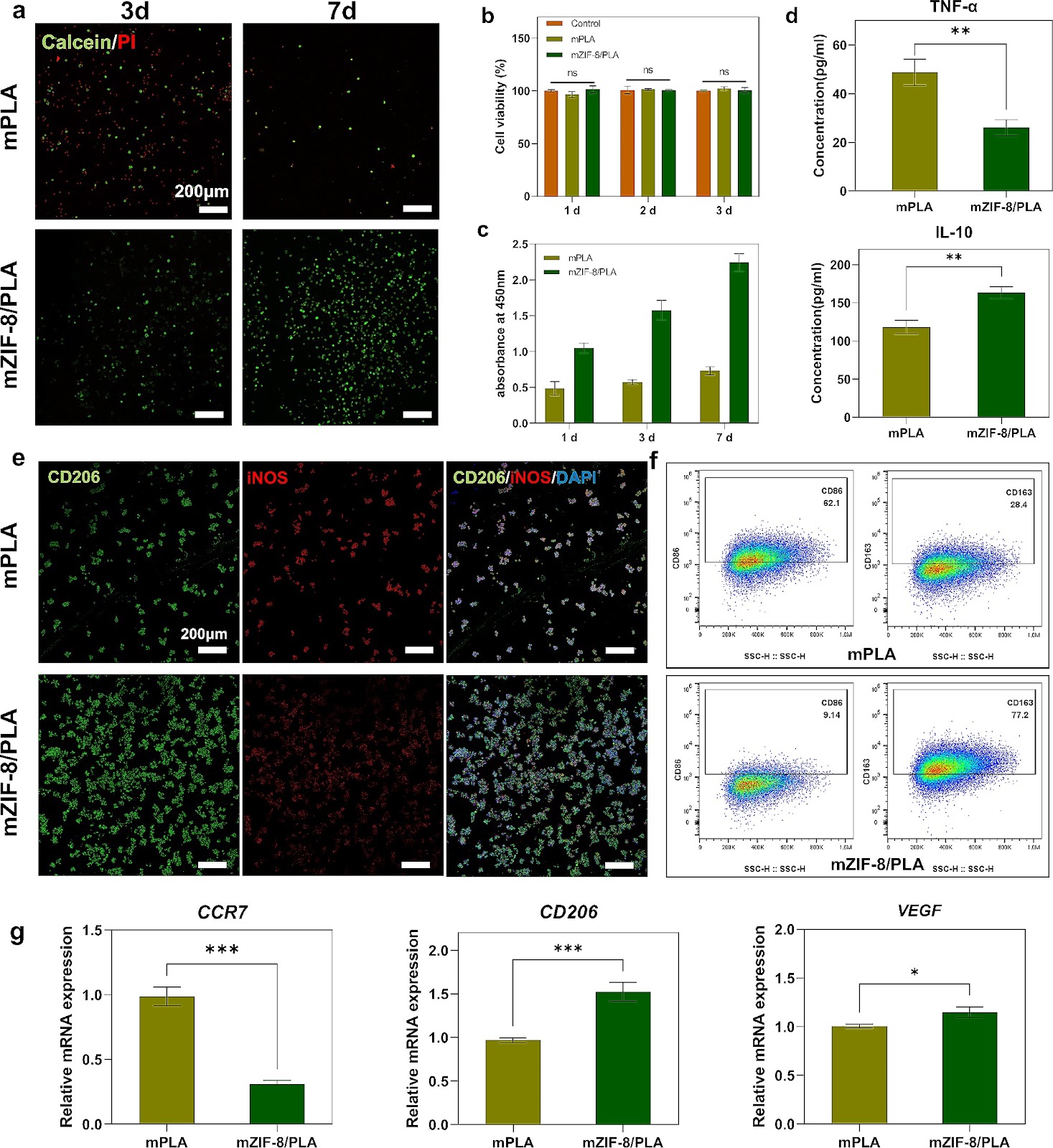 Osteoinductive micro-nano guided bone regeneration membrane for in situ bone defect repair