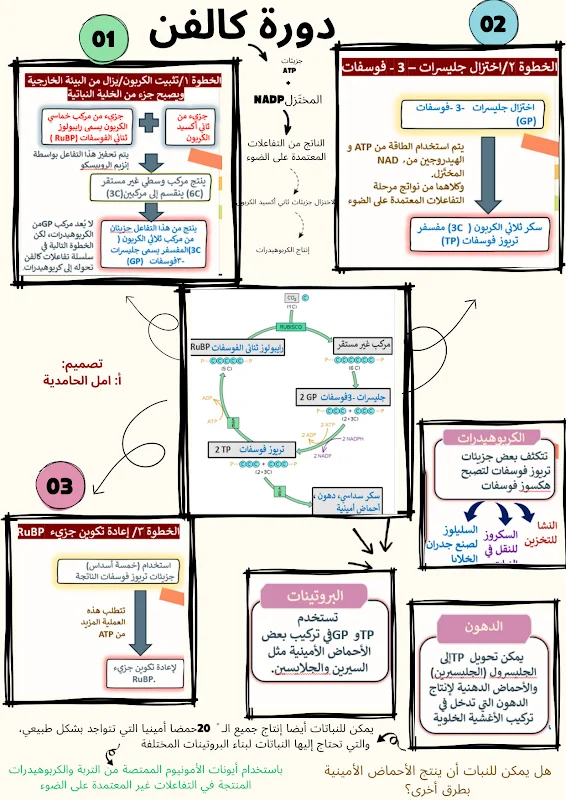 صورة الغلاف