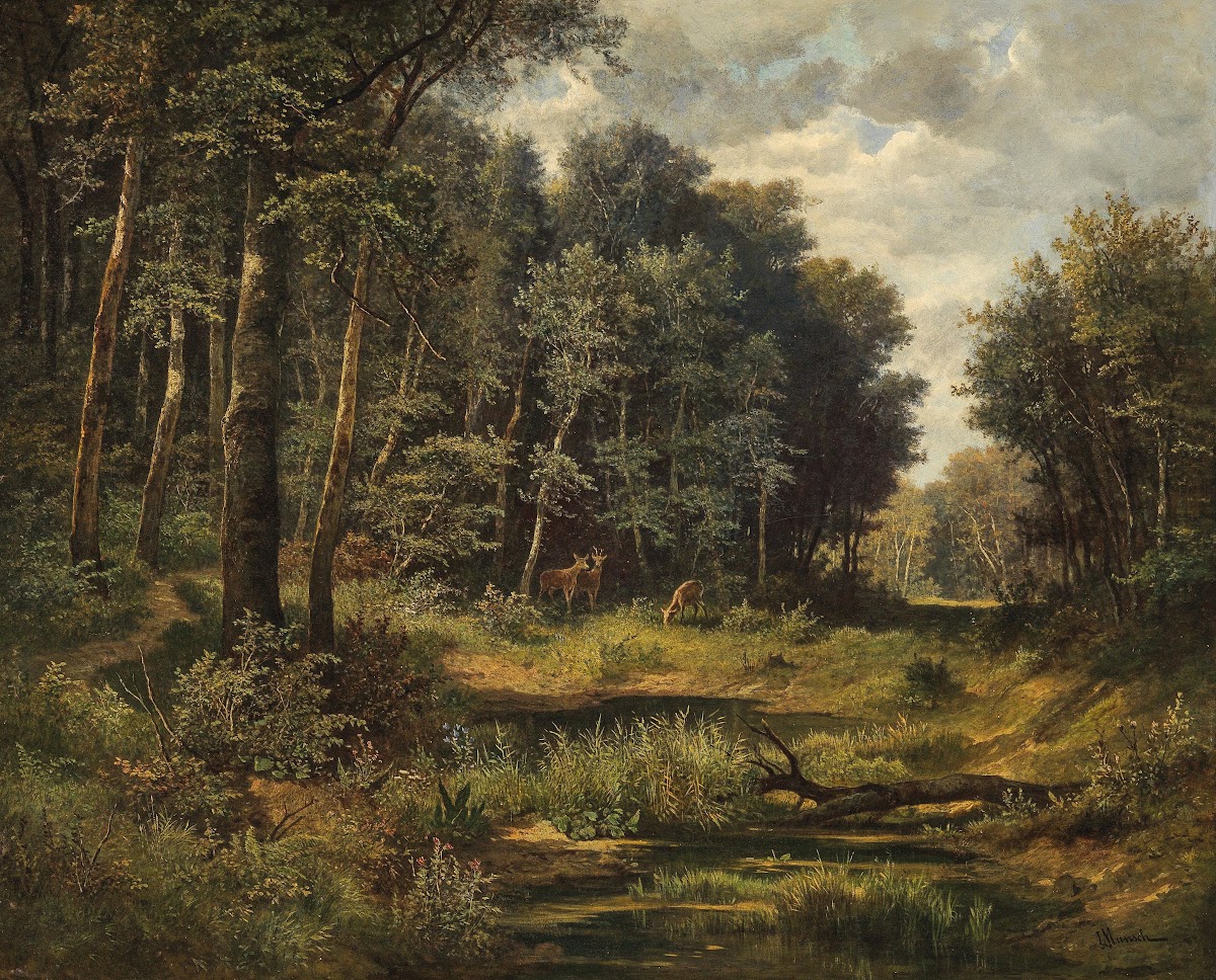 Roe Deer at the Forest Pond