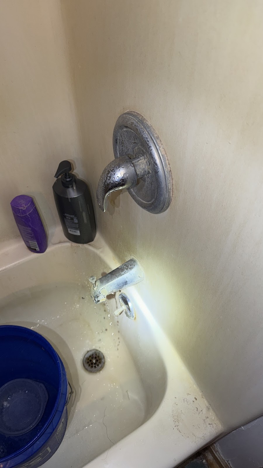 Copy of IMG_2026-03-13_14-08-06_338.jpg