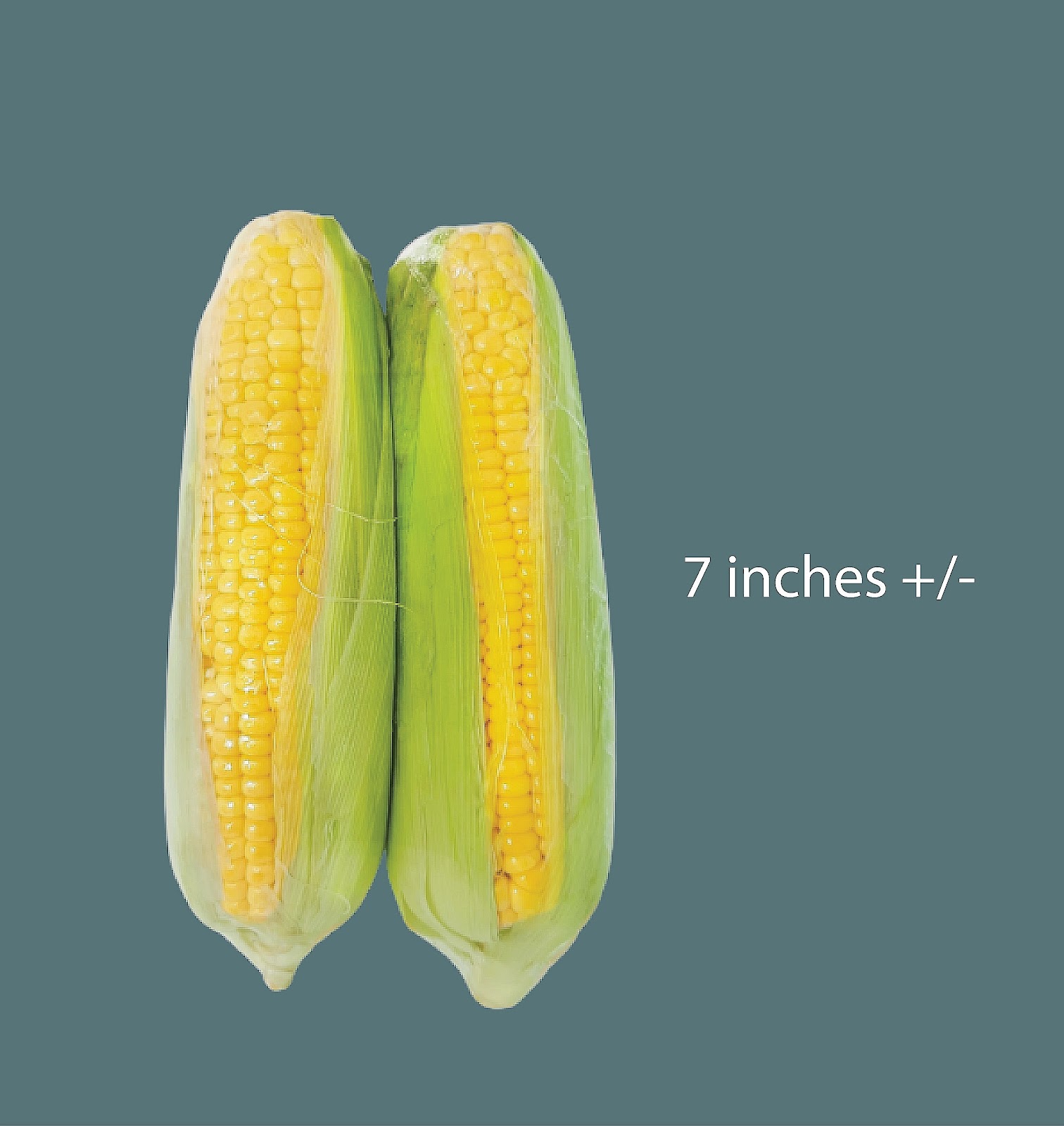 Fresh Corn AA