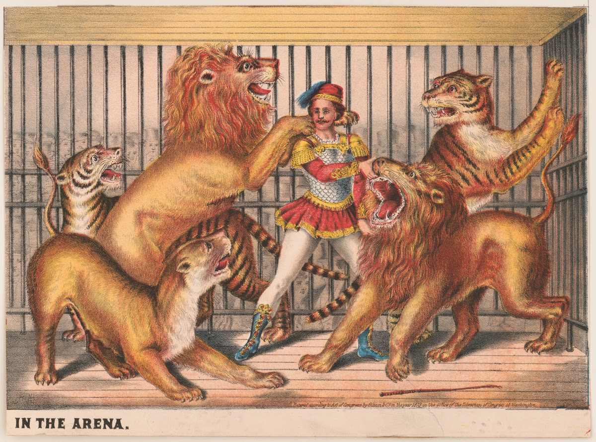 Scenes in the arena performer lion taming 1873