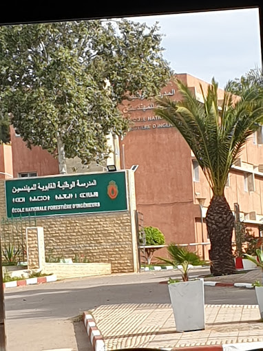 المدرسة الوطنية الغابوية للمهندسين بسلا 