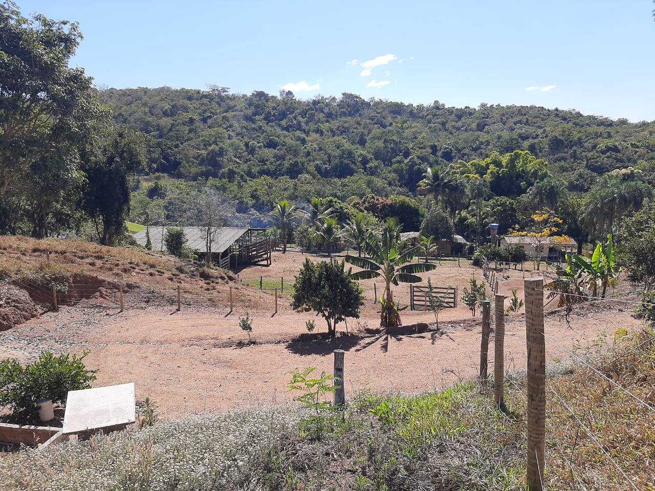 Fazenda em São Miguel do Passa Quatro - GO 6