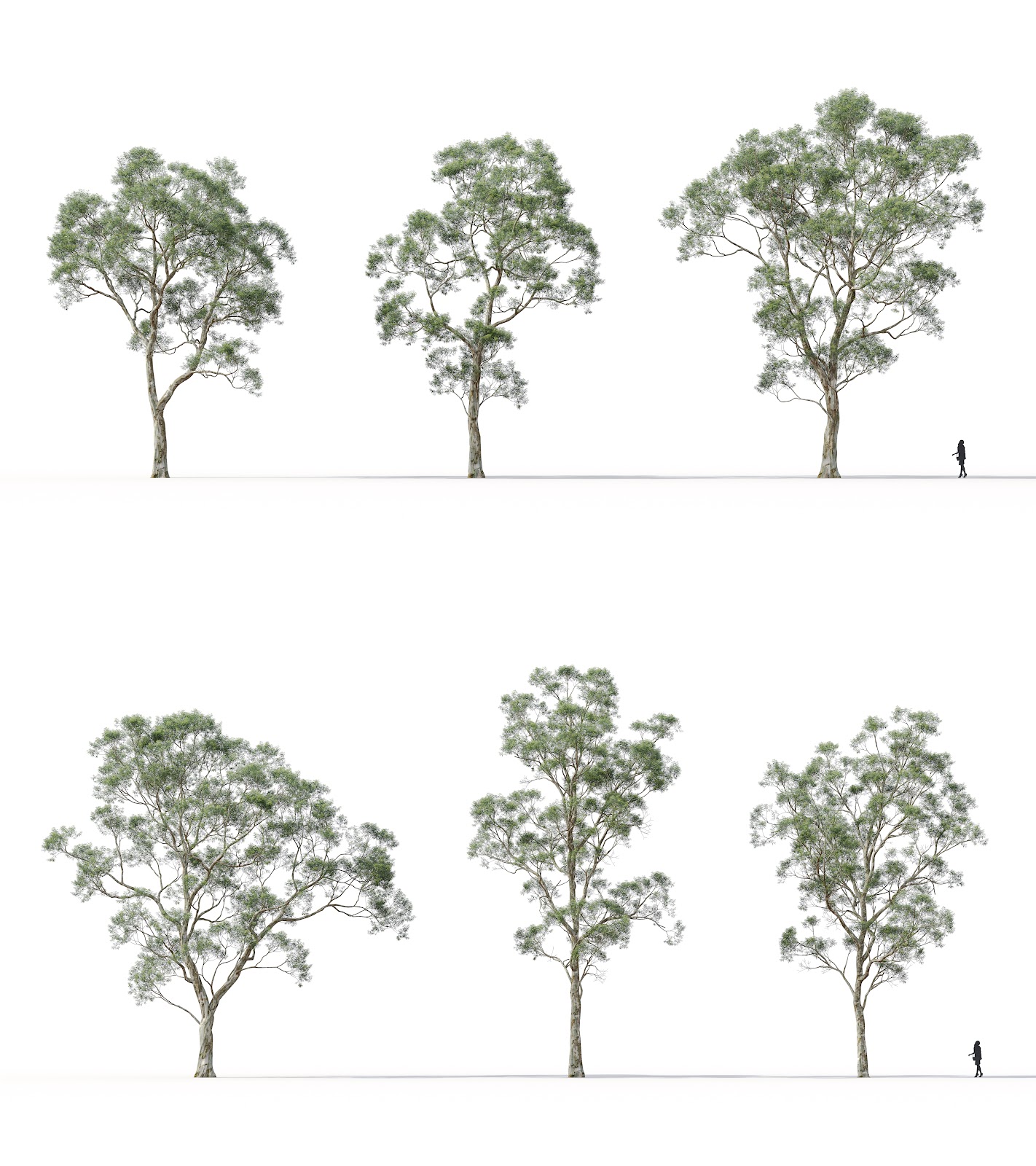 Maxtree - Plant Models Vol.16
