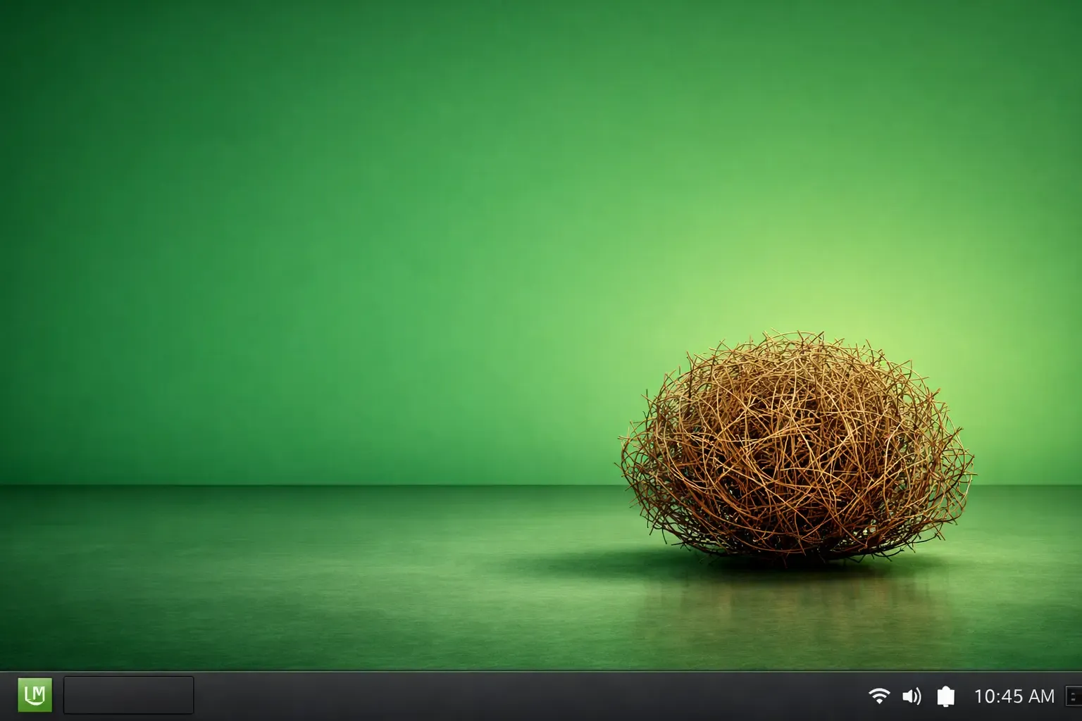 Una planta rodadora en el escritorio de la computadora.