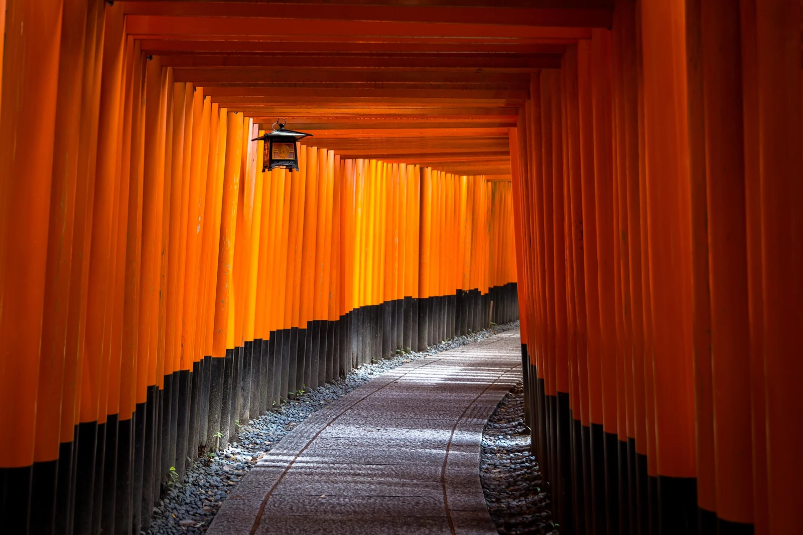 Fushimi Inari Shrine Torii Gates - Travel Photography 4K Wallpaper (3845x2563)